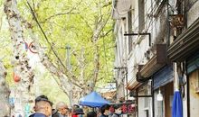 那时我闻到了小巷槐香