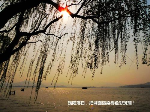 如诗如画的阳光明媚