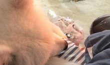 和妈妈玩捉迷藏