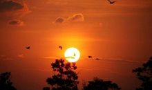 落霞与飞机齐飞，梦想共长天一色