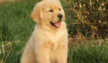 我给你们的名字叫温暖