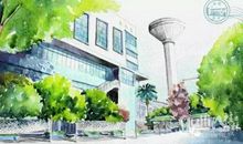 我的校园朋友们