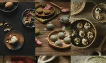 分类整理真有趣