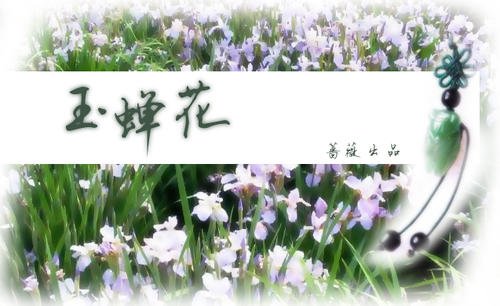 最美丽但值得信赖的花朵