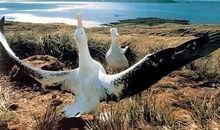 我想去看看世界有多大