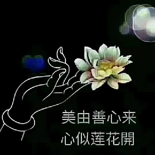 美来自一颗善良的心