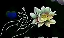 美源自一颗善良的心