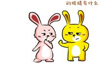 我的眼里只有玩