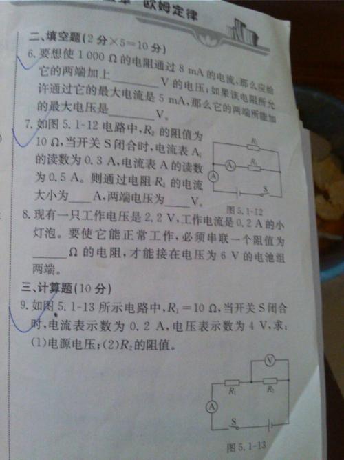 我母亲厨师的作文