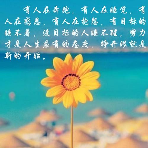 艰苦的生活是最美丽的