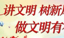 创建省级文明城市我在行动