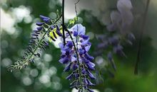 每一个生命都应该被善待