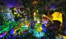 美味王国梦游记