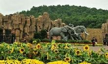 长沙生态动物园一游