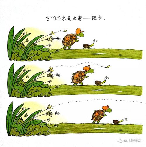 小乌龟花