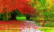 秋天是什么颜色的