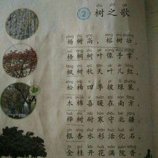 树上的歌模仿花上的歌