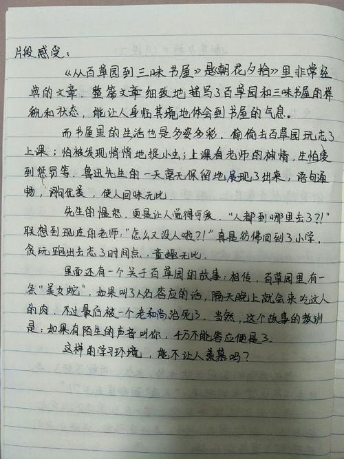 朝华西看完后捡起400个单词