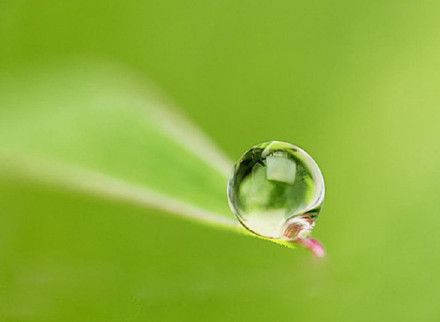 一滴露水的归来