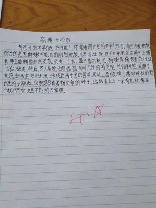 写一朵花400个单词模仿丁香结