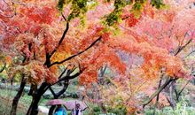 雨中的那一道美景