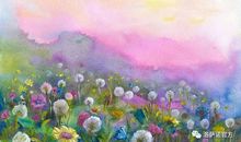 岁月里那抹绚丽