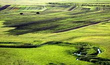 我的家乡内蒙古