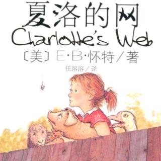 “夏洛特”网