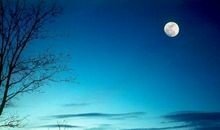 正如月光悄悄来