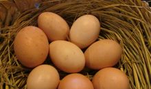 和鸡蛋的一次挑战