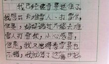 日记一则300字写事