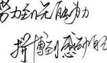 晒晒我们的努力吧