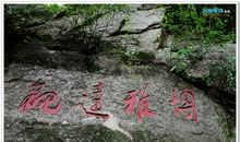 一次孝文化的洗礼