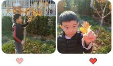 叶儿们我想对你说