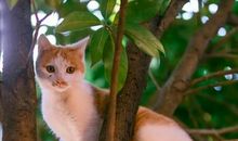 就这样无忧无虑的长大