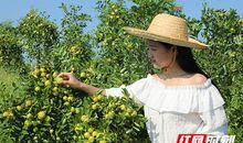 葡萄，枣子，鸟儿和孩子