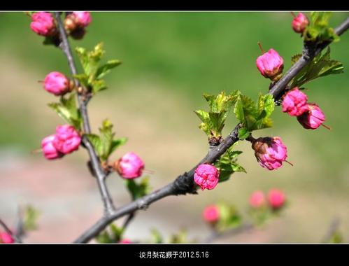 春末的心情