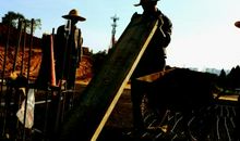 烈日下最可爱的人