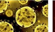 新型冠状病毒的自白作文