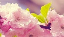 展现生命最美的姿态