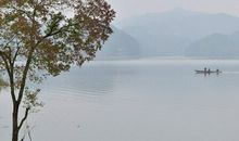 淡雅的桂花香味浓情更浓