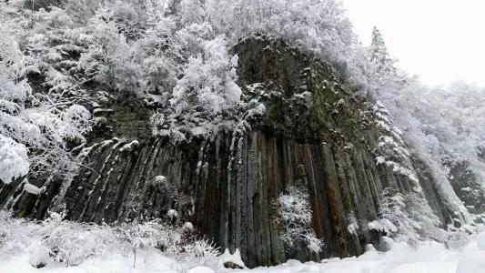 我在等雪