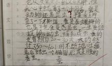 蚕宝宝观察周记