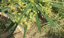 美得不是外表，是内在