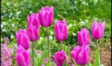 大自然里的快乐一天