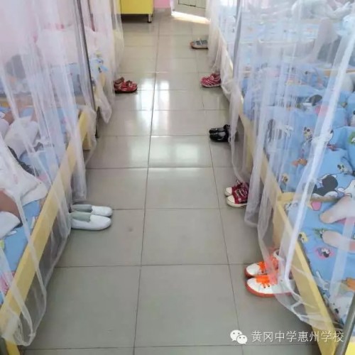 我明天开始在校园里生活