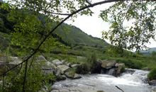 读《大山与小溪的对话》有感