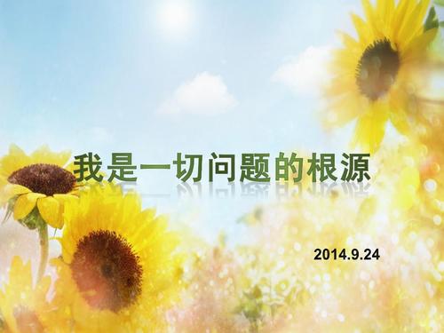 问题的原因