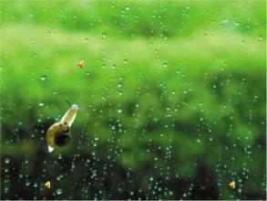 雨和提醒