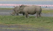 一次“扑通”之旅